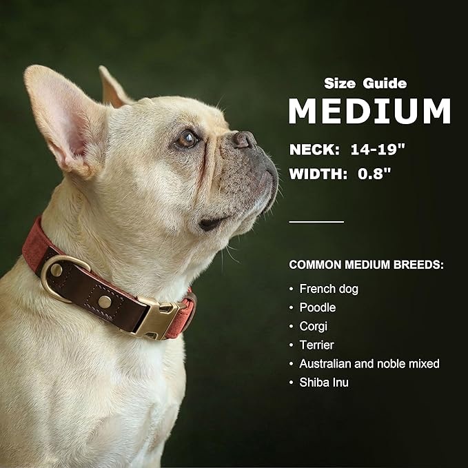 Didog Soft PU Leather Dog Collars for Medium Dogs,Classic Adjustable Dog Collars with Quick Release Metal Buckle,Easy Clean and Comfortable with Nylon Lining,Reddish Brown,M Neck 14-19"