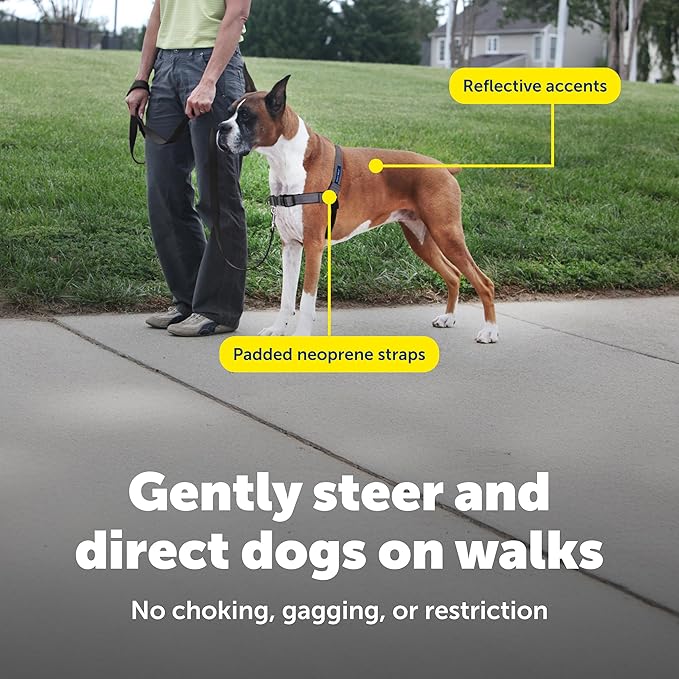 PetSafe Easy Walk Deluxe Dog Harness, No Pull Dog Harness – Perfect for Leash & Harness Training – Stops Pets from Pulling and Choking on Walks – Medium, Steel