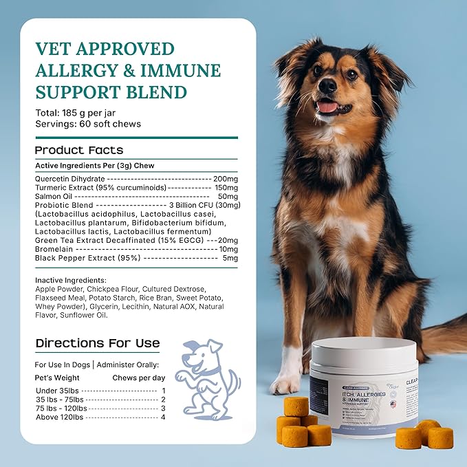 Paw Origins Dog Allergy Chews (60 Ct.) - Clear-Allergies Itch for Immune & Gut Support - Dog Allergy Relief Chews with 3 Billion CFU Probiotic Blend and Omega 3 for Seasonal Allergies - Beef Flavor