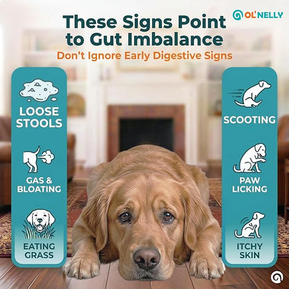 OL’ NELLY Dog Probiotic Paste for Dogs & Cats – Helps with Diarrhea, Gas & Loose Stool, Digestive Support, 6-Strain Probiotics + Prebiotic, Vitamin E & Selenium, Supports Immunity & Skin, 14g