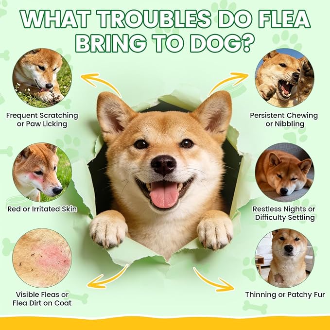 Flea and Tick Prevention for Dogs Chews – 500 Tasty Chicken Flavor Soft Chews, Dog Flea and Tick Treatment, Oral Flea Chews Supplement for Dogs, Puppies, All Breeds & Ages