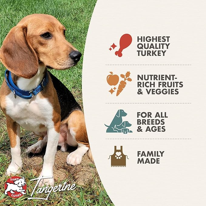 Fromm Four-Star Nutritionals Game Bird Dog Food - Premium Dry Dog Food - Turkey Recipe - 4 lb