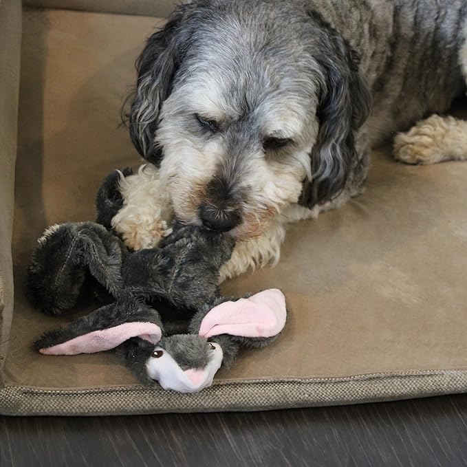 SPOT Skinneeez Tons-O-Squeakers Rabbit Dog Toy - with 19 Squeakers for Tons-O-Fun! Stuffing-Free, Great for Moderate Chewers, Tug Toy for Medium to Large Puppies & Dogs - 20in, Assorted Styles