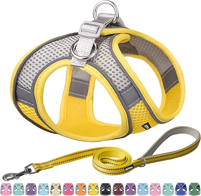 AIITLE Dog Harness, No-Pull Cat Harness with a Leash, Adjustable Reflective Dog Vest, Cat Harness Escape Proof, Outdoor Walking, Running,Training for Extra Small Dogs and House Cats Yellow XXXS