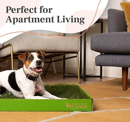 DoggieLawn Real Grass Puppy Pee Pads- 24 x 16 Inches - Perfect Indoor Litter Box for Dogs - No Mess, Easy-to-Use - Potty Training for Pets - Eco-Friendly Disposable Bathroom with Real Living Grass