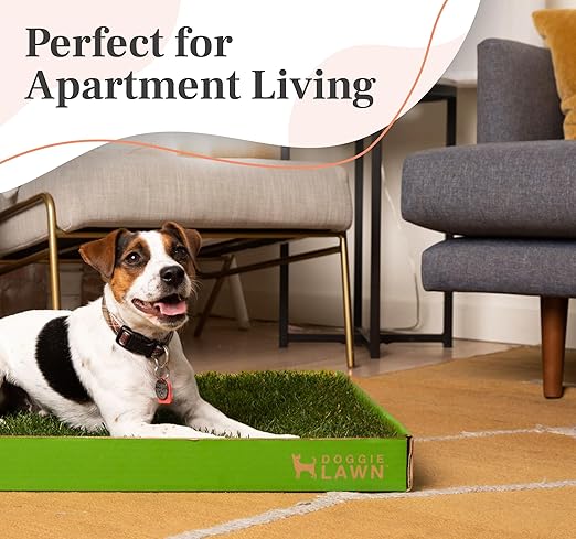 DoggieLawn Real Grass Puppy Pee Pads- 24 x 20 Inches - Perfect Indoor Litter Box for Dogs - No Mess, Easy-to-Use - Potty Training for Pets - Eco-Friendly Disposable Bathroom with Real Living Grass