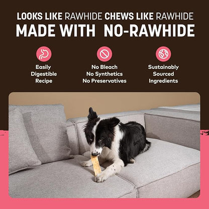 Earth Animal No Hide Strips - Natural Rawhide Free Dog Chew Strips, Salmon - 16 Count