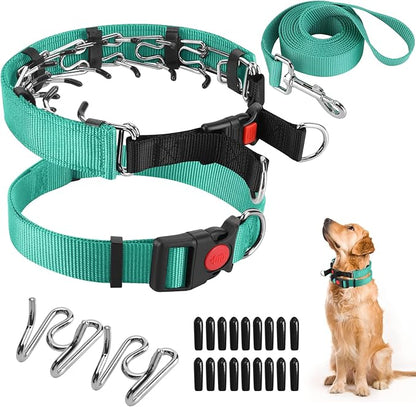 Prong Training Collar with Comfort Tips and Quick Release Snap Buckle - Classic Collar and Leash for Small to Large Dogs