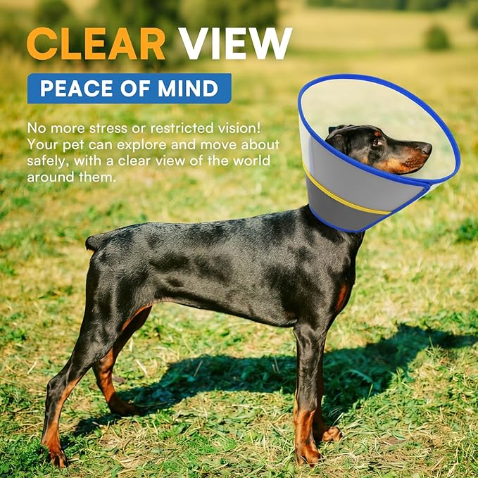 Queenmore Dog Cone - Soft Cone for Dogs to Stop Licking Transparent Elizabeth Recovery Collar for Large Dog Flexible Plastic Cones for Dogs After Surgery, Normal Eating and Drinking, Blue Large