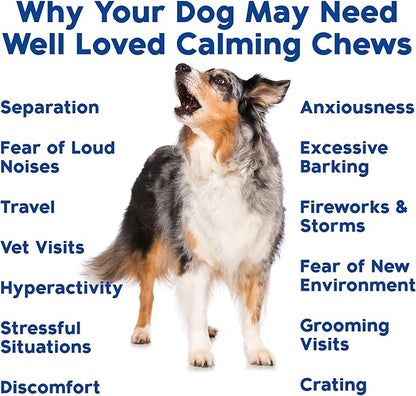 Well Loved Calming Chews for Dogs - Dog Calm Treats, Made in USA, Vet Developed, Behavior Support, Stress, Separation, Fireworks, Travel, Melatonin, Natural & Holistic, 90 Count