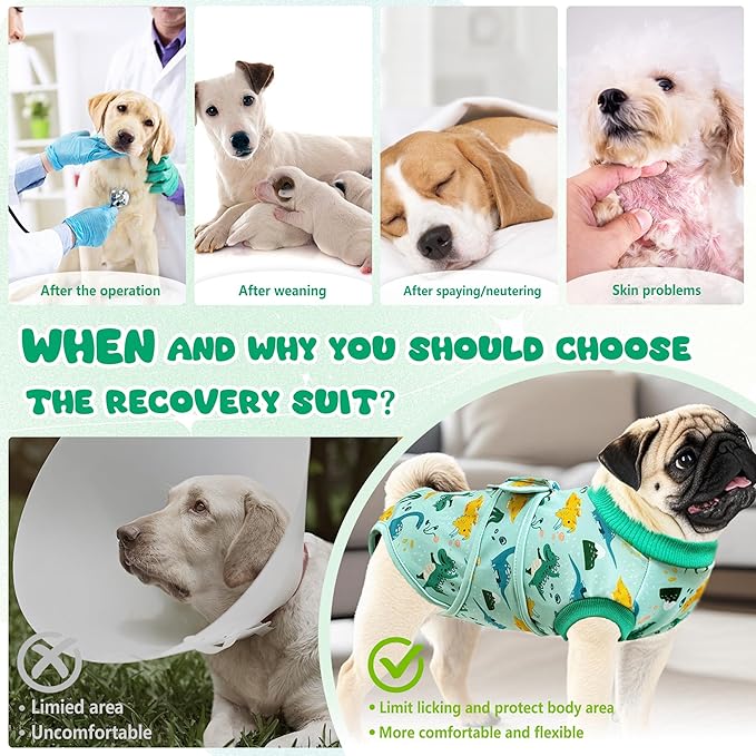 Dog Surgery Recovery Suit, Abdominal Surgical Suit for Male Female Dog Post Spay Neuter, Breathable Pet Onesie E-Collar & Cone Alternative, Surgery Shirt to Prevent Licking, Green, X-Small
