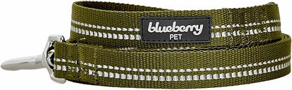 Blueberry Pet 3M Reflective Pastel Color Dog Leash with Soft & Comfortable Handle, 5 ft x 3/4", Olive Green, Medium, Leashes for Dogs