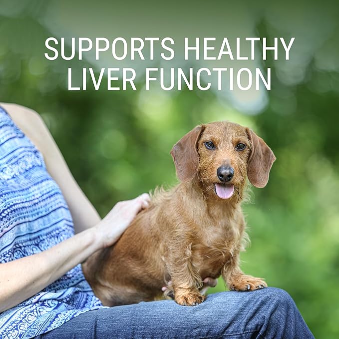 Nutramax Laboratories Denosyl for Dogs, Liver and Brain Health Supplement for Medium Dogs, with S-adenosylmethionine (SAMe), Stabilized Tablets, 30 Count