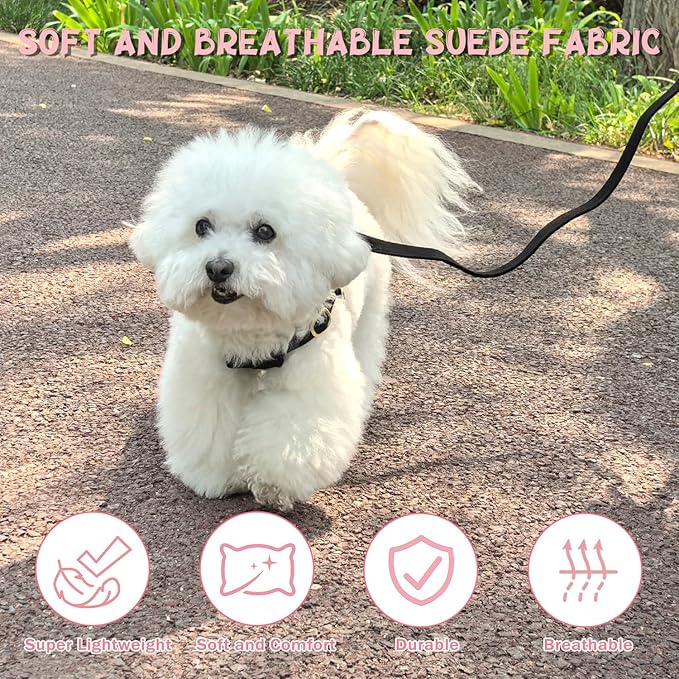Guiding Star Dog Harness Small Sized Dog with Multifunction Leash, No Pull Puppy Dog Harness and Leash Set Training, Cute Soft Adjustable Dog Walking Harness Pet Vest Harness (Black-XS)