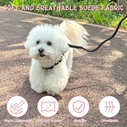 Guiding Star Dog Harness Small Sized Dog with Multifunction Leash, No Pull Puppy Dog Harness and Leash Set Training, Cute Soft Adjustable Dog Walking Harness Pet Vest Harness (Black-S)