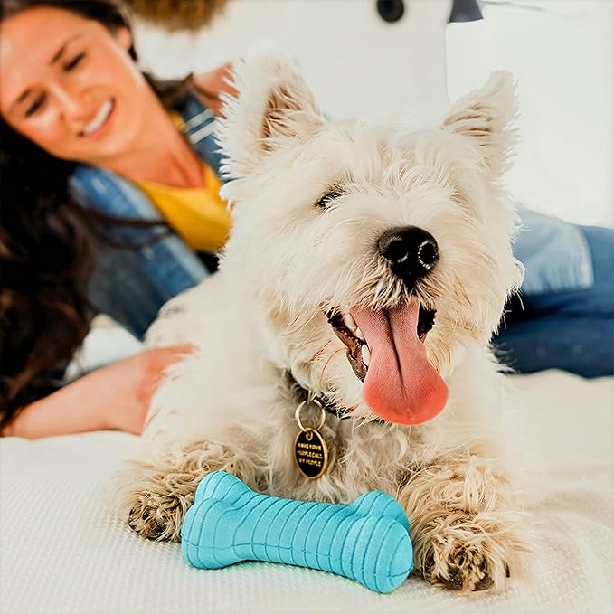 Playology Dog Toys | Dual Layer Bone Durable Chew Toy Bone for Dogs (Value 2-Pack) | Medium Peanut Butter Scented Toy - Easy to Clean and Made from Non Toxic Materials