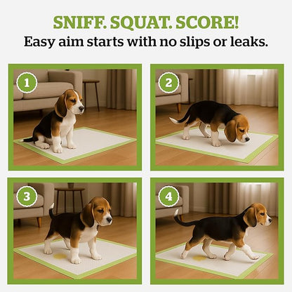 Pogi’s Puppy Pads with Sticky Tabs – Medium, Super Absorbent, Odor Blocking, 40-Count (18x24in)