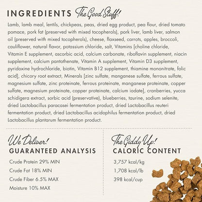 Fromm Four-Star Nutritionals Lamb & Lentil Dog Food - Premium Dry Dog Food - Lamb Recipe - 26 lb