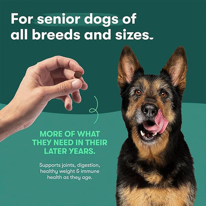 Jinx Premium Dry Dog Food for Senior Dogs - Real Chicken, Brown Rice & Sweet Potato Kibble with Antioxidants for Immune Support & Whole Grains for Digestive Support - No Fillers - 11.5lb