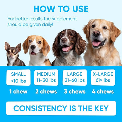 Chewable Flea and Tick Prevention for Dogs - 120 Soft Chews Made in USA - Oral Flea and Tick Control Pills for Small, Medium, Large Dogs and Puppies - Skin and Coat Supplement Treats for All Breeds