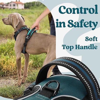 rabbitgoo Dog Harness Small Sized, No Pull Pet Harness with 3 Buckles, Adjustable Soft Padded Vest with Control Handle, Walking Reflective Pet Vest for Small Dogs, Blue Coral, S
