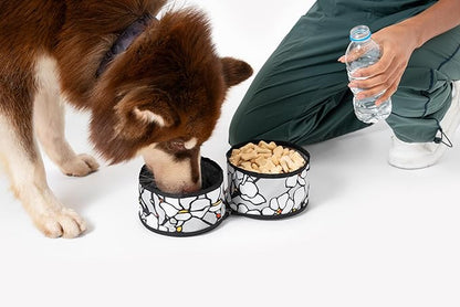OllyDog Superbowl | Collapsible Dog Travel Bowl | 2 Compartment Food & Water | Foldable| Portable Dog Bowl | Hiking, Camping (Magnolia)