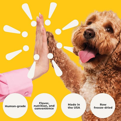 Beef Liver Dog Treats Freeze Dried - Single Ingredient Human Grade Raw Liver Bites for Training, Meal Topper, No Additives - High Protein(31g Per Cup)Training Treats for Dogs, Made in the USA, 4oz Bag