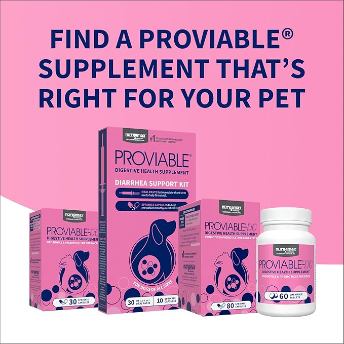 Nutramax Proviable Probiotics for Small Dogs and Cats, Diarrhea Support Kit, Digestive Health Supplement with Multiple Strains of Bacteria, Plus Prebiotics, Kaolin and Pectin, 15 ml Paste and 10 Capsules