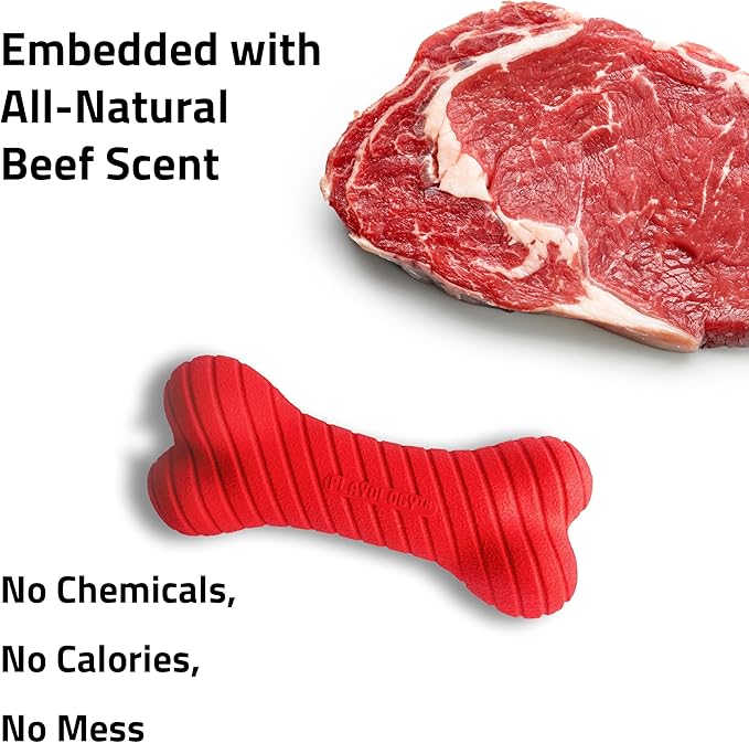 Playology Dog Toys | Dual Layer Bone Durable Chew Toy Bone for Dogs | Jumbo Beef Scented Toy - Easy to Clean and Made from Non Toxic Materials