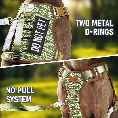 AUNZO No-Pull Dog Harness for Small Dog Breeds, Escapeproof Easy Walking Reflective Adjustable Lightweight Dog Vest with Breathable Oxford Material, Easy on Easy Off with Neck Buckle, Green Ethnic XS