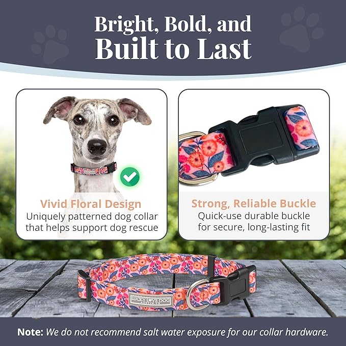 Lucky Love Dog - Adjustable Dog Collar with Easy Click Buckle for Medium, Durable, & Comfortable for Male & Female Dogs, Pet Collar for Puppies & Adult Dogs - Rosie, Medium