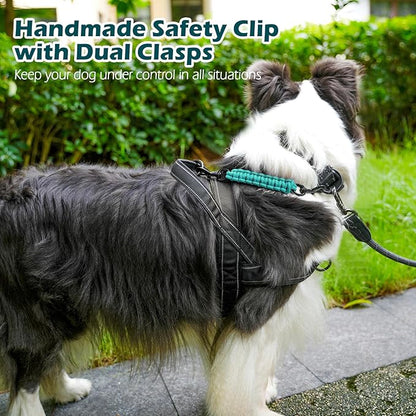 PetBonus Dog Collar Safety Clip, Handmade Backup Safety Strap for Dog Harness, Prong, Pinch Collar, Double Ended Clasp Leash Connector (Turquoise)