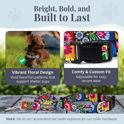 Lucky Love Dog - Easy Click Buckle Dog Collar with Leash Set Combo, Durable & Comfortable for Male & Female Dogs, Pet Collar for Small Dogs, Secure Fit - Blackbird Combo, X-Small