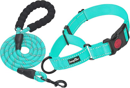 haapaw Martingale Dog Collar with Quick Release Buckle Reflective Dog Training Collars for Small Medium Large Dogs