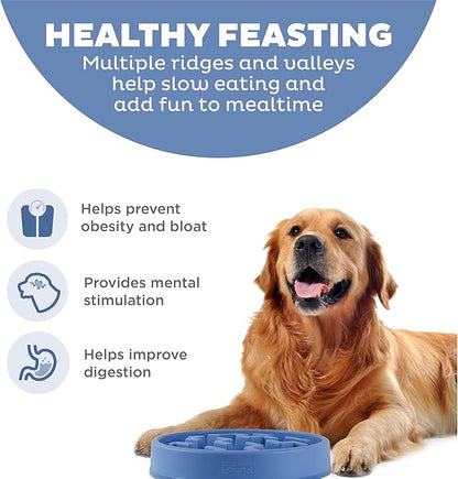 Outward Hound Fun Feeder Slo Bowl – Large 4‑Cup Capacity, Slow Feeding, Medium to Large Dogs, Non‑Slip, Blue, Notch Pattern