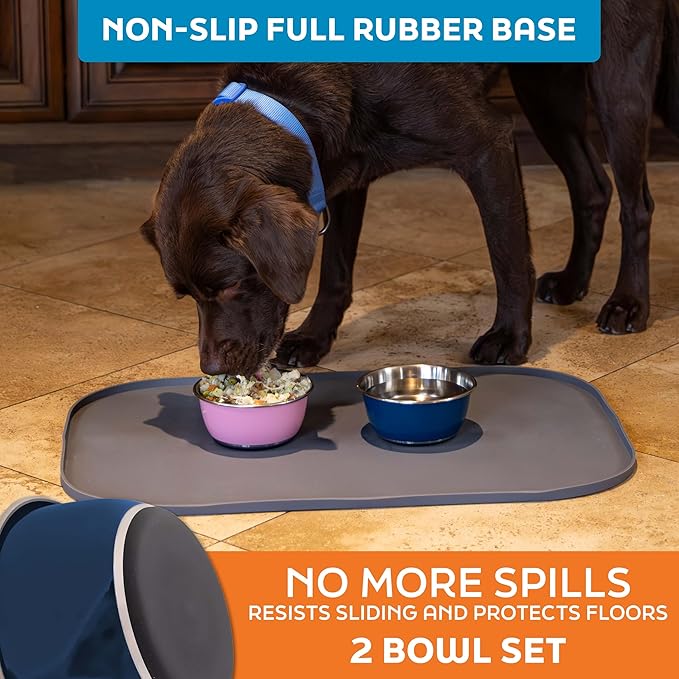 Master Pet Supply Stainless Steel Dog Bowls Set of 2 (16 Oz Each) with Non-Slip Rubber Base - Navy Blue - Basic Dog Food Bowl Water & Food Bowls for Small Medium Large Dogs & Cats, Metal Dish