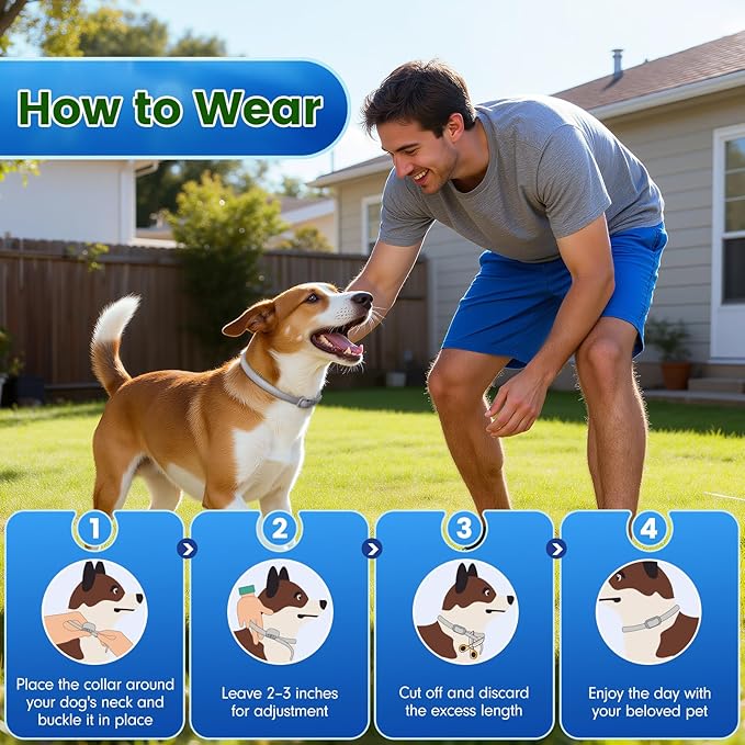 KOOSA Flea and Tick Collar for Dogs, 4 Packs Flea Collar for Dogs with Natural Essential Oils, Waterproof & Adjustable Flea and Tick Prevention Collar for Small Medium Large Dogs & Puppies, Grey