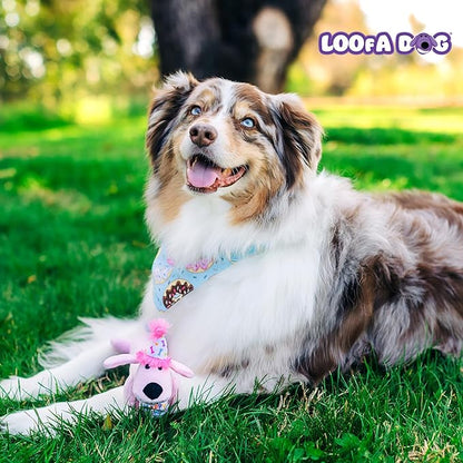 Multipet Loofa Dog Plush Toy w/ Birthday Hat - Squeaky Dog Toy for Dogs - Soft Plush - Stuffed Animal Dog Toys for Playing (1 Count, 12”, Random Color Surprise)
