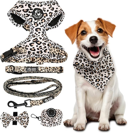 No Pull Harness and Leash Set - 6-in-1 Adjustable Vest Harness and Collars for Medium and Large Dogs. (Leopard, Small)