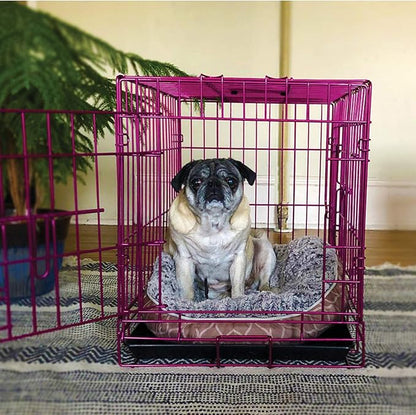 PET Expressions Luxury Colorful 24 Inch Foldable Dog Crate with 2 Doors | Free Training Ebook and Pet Calming Music | 3 Colors & 3