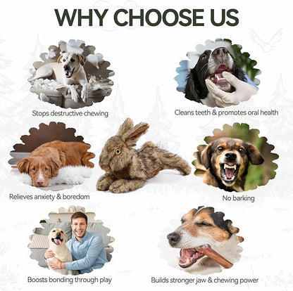 ALL FOR PAWS Rabbit Squeaky Doy Toy, Bunny Dog Toy for Medium Large Breed, Puppy Fetch Toy with Squeaker, Plush Chew Dog Toy, Classic Brown Rabbit-L