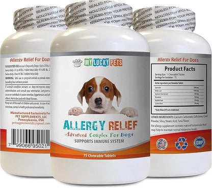 Dog Allergy Immune - Allergy Relief for Dogs Itch Relief Support - Key Ingredients - quercetin for Dogs Organic - 1 Bottle (75 Chewable Tablets)