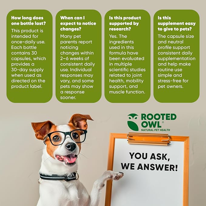 Rooted Owl Joint and Muscle Support for Cats and Small Dogs (Under 30 Lbs) - Supplement with UC-II Type II Collagen and L-Carnitine - 30 Count