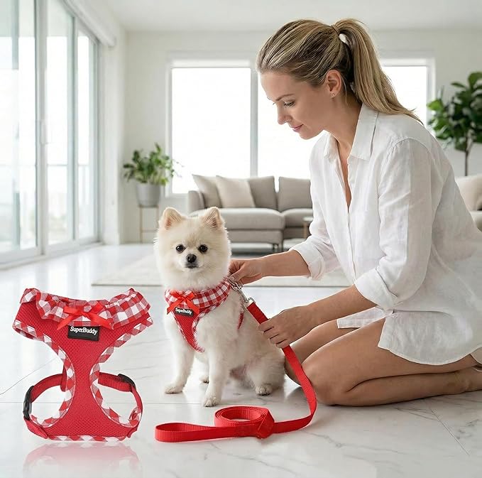 SuperBuddy Upgraded Soft Mesh Dog Harness, Super Breathable Lightweight Pet Harnesses for Puppy Dogs Outdoor Walking, Red Dog Harness and Dog Leash Set Packing -Medium