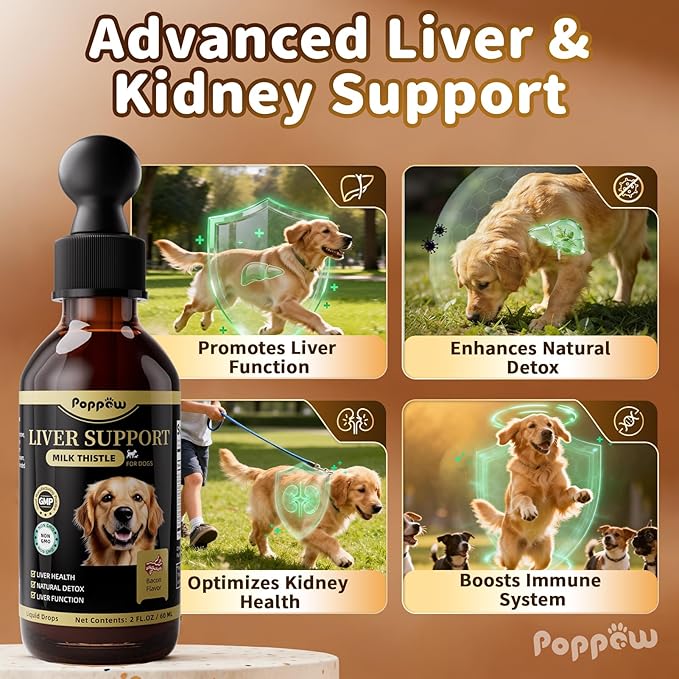 Milk Thistle for Dogs – 9-in-1 Liver and Kidney Support Drops with Artichoke, Resveratrol, Marigold Extract, 100% Natural Detox Supplement for Liver Function, Split Dropper, Bacon Flavor, 2Oz