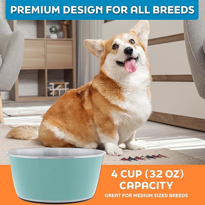 Master Pet Supply Stainless Steel Dog Bowls Set of 2 (32 Oz Each) with Non-Slip Rubber Base - Aqua Sky - Basic Dog Food Bowl Water & Food Bowls for Small Medium Large Dogs & Cats, Metal Dish