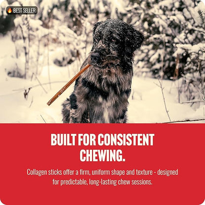 Natural Farm Odor-Free Collagen Chews, (12-Inch, 12-Pack), Long Lasting Bully Sticks & Rawhide Alternative Dog Treats, 95% Collagen, High Protein Best Dental Dog Treats – Medium & Large Dogs