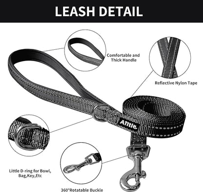 AIITLE Comfortable Dog Harness and Leash Set for Walking - Step in Vest Harness,Reflective Bands, Adjustable No Pull Puppy Essentials, for Small Dogs and House Cats Black XS