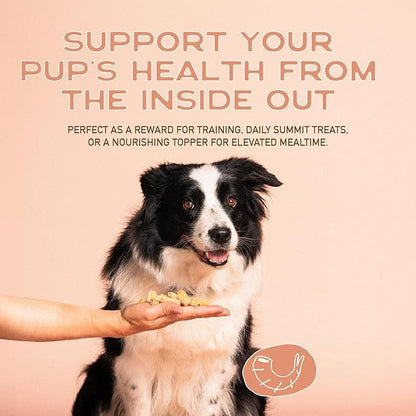 Smart Cookie All Natural Dog Treats - Shrimp & Coconut - Training Treats for Dogs with Allergies, Sensitive Stomachs - Soft Dog Treats, Chewy, Grain Free, Human-Grade, Made in USA - 5oz, Pack of 3