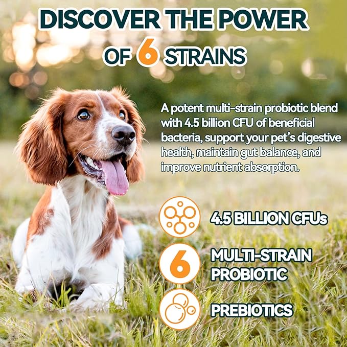 Probiotics for Dogs, Dog Probiotics for Yeast, Itchy Skin and Itchy Ears, Allergies, Immunity, Dog Gut Health Probiotic for Digestive Enzymes & Prebiotics for Diarrhea & Gas Relief (Chicken, 200 Chew)